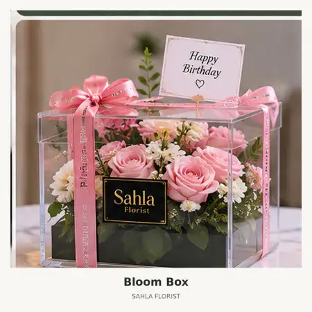 Bloom Box Dompu